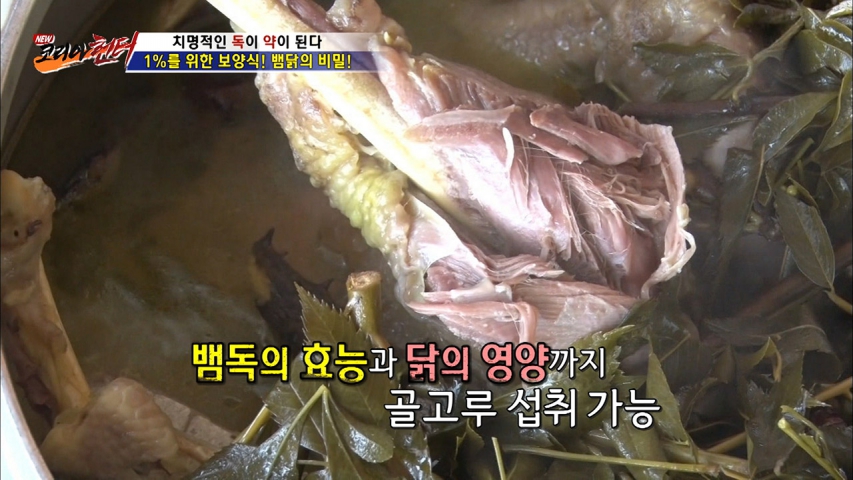 5개월 이상 귀한 보양식(뱀 닭)